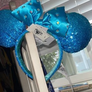 Brand new Disney ears
